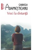 Voci la distanta - Gabriela Adamesteanu
