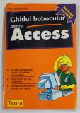 GHIDUL BOBOCULUI PENTRU ACCESS de PAULL McFEDRIES , 1996 , COPERTA CU URME DE UZURA