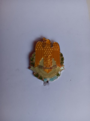 QW9 K 15 - Insigna - tematica heraldica - stema Ministerului apararii foto