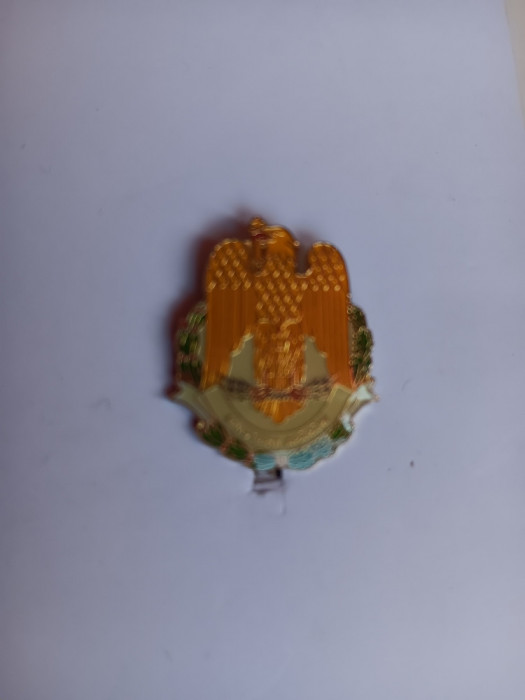 QW9 K 15 - Insigna - tematica heraldica - stema Ministerului apararii