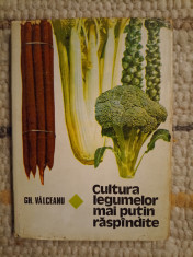 Dr. ing. V&amp;acirc;lceanu Gheorghe: Cultura legumelor mai puţin răsp&amp;acirc;ndite foto