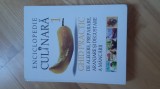 Roxana Birsanu - Enciclopedie culinara . Ghid practic de alegere , preparare , aranjare si degustare a mancarii ( 2008 ) carte de bucate gastronomie