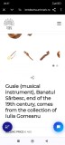 Guzla instrument vintage de cantat secolul XIX din Banatul sarbesc