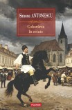 Cumpara ieftin Coborarea &Icirc;n Cetate, Simona Antonescu - Editura Polirom