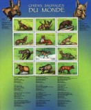 CONGO 2000 - FAUNA - HIENE