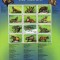 CONGO 2000 - FAUNA - HIENE