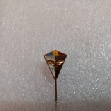 Insigna Feroviar Timisoara