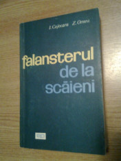 Falansterul de la Scaieni - I. Cojocaru; Z. Ornea (Editura Politica, 1966) foto