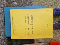 Sisteme informatice si analiza economică vintage