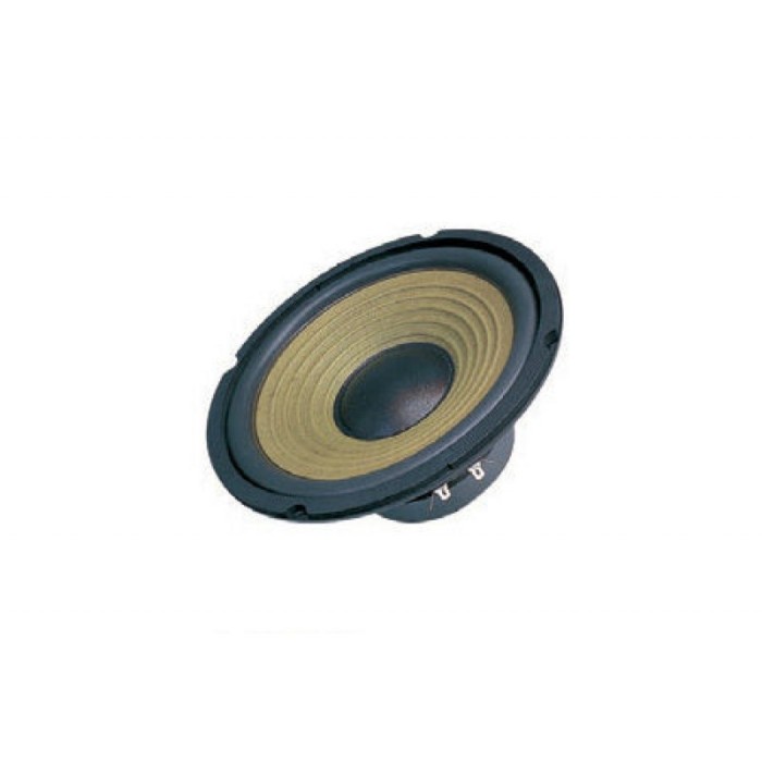 Difuzor frecvente medii Dibeisi G8002-8, 45 W, diametru 20 cm, 8 Ohm Difuzor frecvente medii Dibeisi G8002-8, 45 W, diametru 20 cm, 8 Ohm