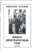 Cumpara ieftin Ranile neintrupatului timp - Iordache Olteanu