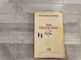 Fiul vrajitoarei de Rosemarie Schuder