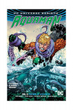 Aquaman Vol. 3 | Dan Abnett