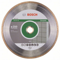 Disc diamantat Standard pentru ceramica 250mm foto