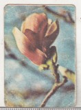 Bnk cld Calendar de buzunar - 1983 - Feleacul Cluj Napoca