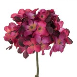 Floare Artificială Hortensie, Model Scurt, Culoare Roșu, Material Plastic, &Icirc;nălțime 24cm, Oem