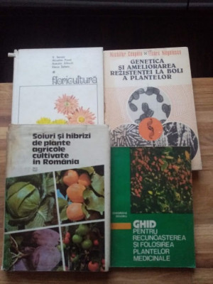 Floricultura, genetica, culturi legume - Lot 4 carti foto