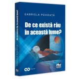De ce exista rau in aceasta lume?, Gabriela Pohoata