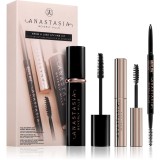 Anastasia Beverly Hills Brow &amp; Lash Styling Kit set cadou pentru ochi și spr&acirc;ncene culoare Dark Brown
