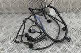 Cablaj senzor de parcare față HYUNDAI SANTA F&Eacute; IV TM 2019 OEM: 91890S1020 30336795