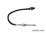Senzor temperatura gaze dpf Mercedes SLK (2011->) [R172] #1