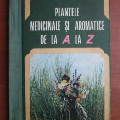 Ovidiu Bojor - Plantele medicinale si aromatice de la A la Z