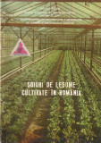 M.A.I.A - D.G.E.F. - SOIURI DE LEGUME CULTIVATE IN ROMANIA