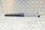 Amortizor haion st&acirc;nga FORD FIESTA VI 2014 OEM: 8A61-A406A10-AC 12936471
