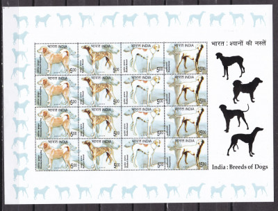India 2005 fauna caini MI 2070-73 kleib. MNH xxl foto