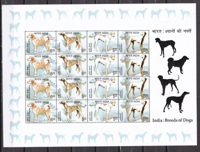 India 2005 fauna caini MI 2070-73 kleib. MNH xxl