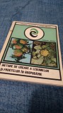 METODE DE USCARE A LEGUMELOR SI FRUCTELOR IN GOSPODARIE -ADRIANA PARASCHIV