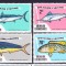 DB1 Fauna Marina Pesti Pescuit 1975 Grenada Grenadines 8 v. MNH