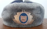 M1 5 - Caciula militara emblema metalica - culoare bleumarin - piesa de colectie
