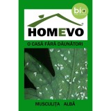 Insecticid Bio impotriva musculitei albe 50 gr