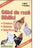 Gaini de rasa - bibilici - (crestere, selectie, valorificare) - I. Barbat