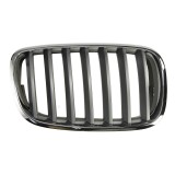 Grila radiator BMW X5 (E70) (2007 - 2013) BLIC 6502-07-0096992PP