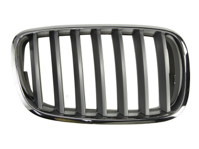 Grila radiator BMW X6 (E71, E72) (2008 - 2014) BLIC 6502-07-0096992PP foto