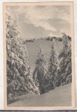 Bnk cp Muntii Bucegi - Postavarul - circulata - Libraria Noastra, Printata, Brasov
