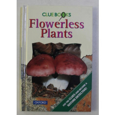 CLUE BOOKS - FLOWERLESS PLANTS by GWEN ALLEN , JOAN DENSLOW , 1997