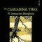 The Casuarina Tree