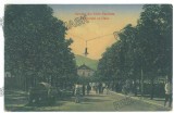 3343 - PUCIOASA, Dambovita, Railway Station &amp; Ave, Romania - old postcard- used - 1915