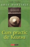 Curs practic de Kuatsu - Paperback - Teodor Vasile - Aldo Press