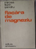 MIRCEA FLORIN SANDRU - FLACARA DE MAGNEZIU (VERSURI) [editia princeps, 1980]