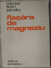 MIRCEA FLORIN SANDRU - FLACARA DE MAGNEZIU (VERSURI) [editia princeps, 1980] foto