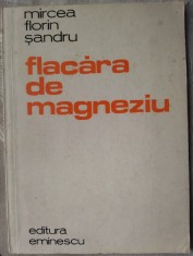 MIRCEA FLORIN SANDRU - FLACARA DE MAGNEZIU (VERSURI) [editia princeps, 1980]