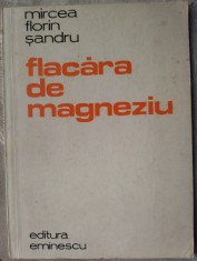 MIRCEA FLORIN SANDRU - FLACARA DE MAGNEZIU (VERSURI) [editia princeps, 1980] foto