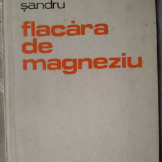 MIRCEA FLORIN SANDRU - FLACARA DE MAGNEZIU (VERSURI) [editia princeps, 1980]