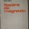 MIRCEA FLORIN SANDRU - FLACARA DE MAGNEZIU (VERSURI) [editia princeps, 1980]