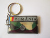 Breloc Armata Romana, Romania de la 1950