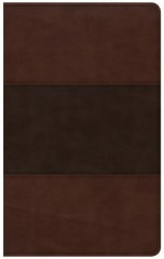 CSB Ultrathin Reference Bible, Saddle Brown Leathertouch foto